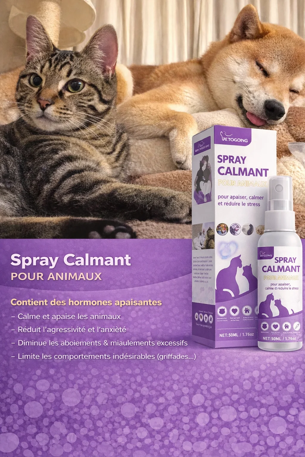 Miniature spray vue 2